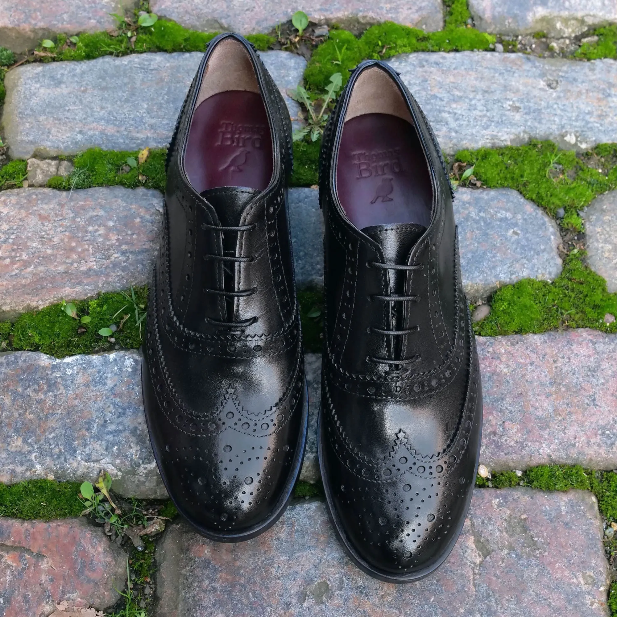 Siena Wingtip Oxford Brogue Black